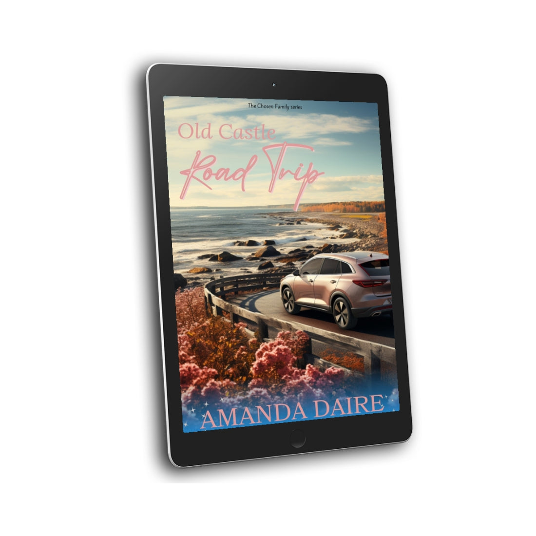 Old Castle Road Trip women's fiction/relatable relationship fiction/family drama
