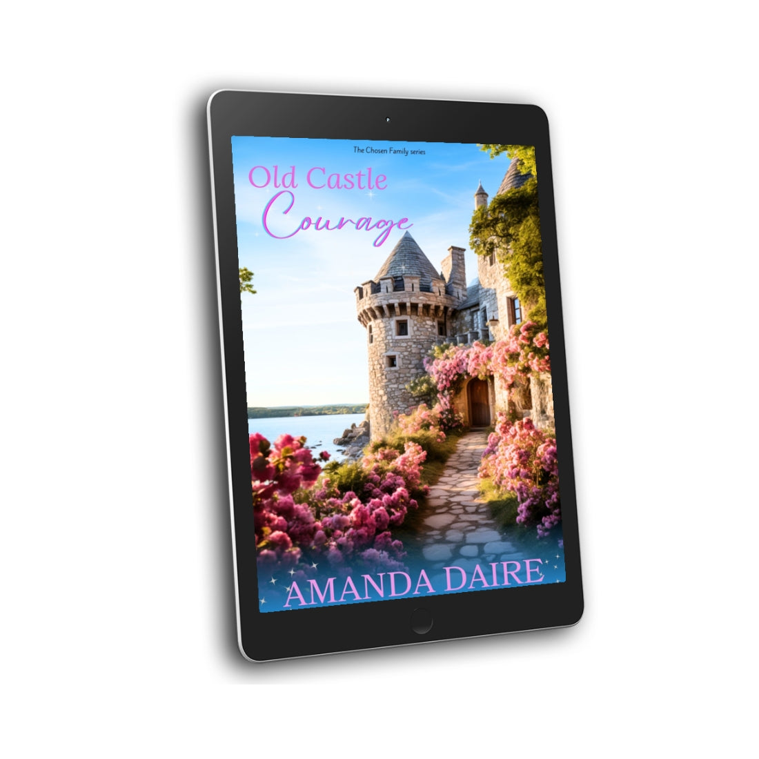 Old Castle Courage women's fiction/relatable relationship fiction/family drama